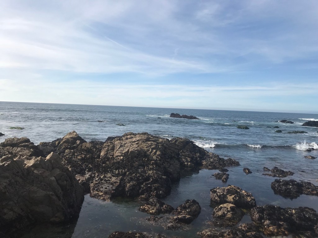 Grief is Weird,&nbsp;Man